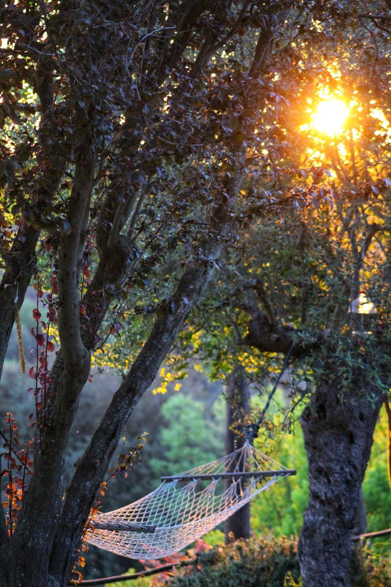 Masia Can Felip B&B Llinars del Valles Exterior photo