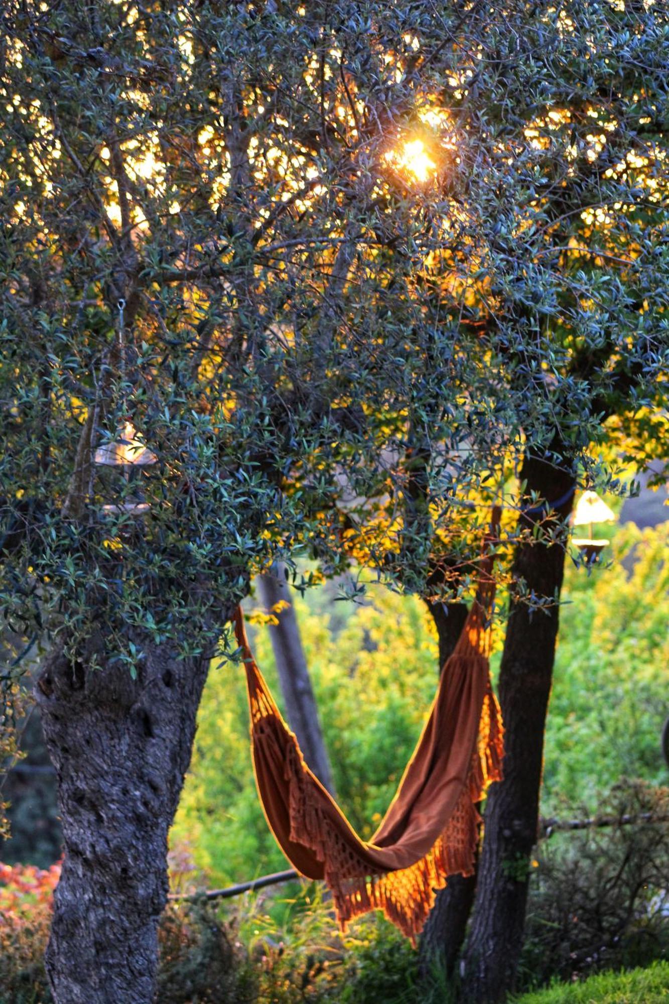 Masia Can Felip B&B Llinars del Valles Exterior photo